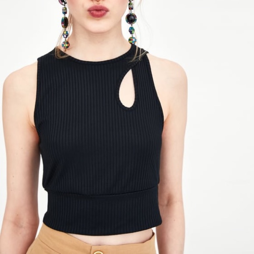NWT Zara High Neck Crop Top